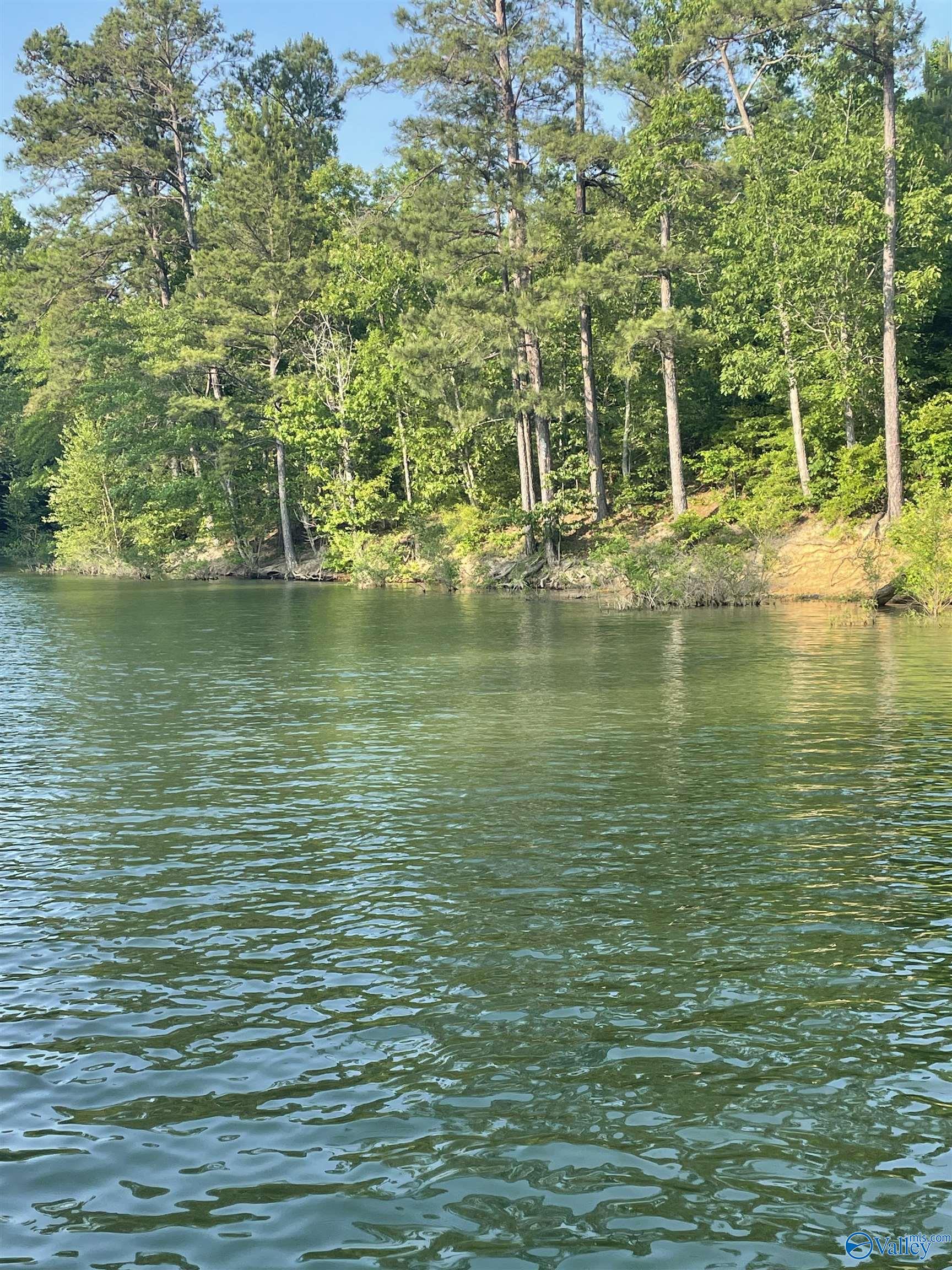 Property: Lot # 6 Stillwater Coves,Double Springs, AL