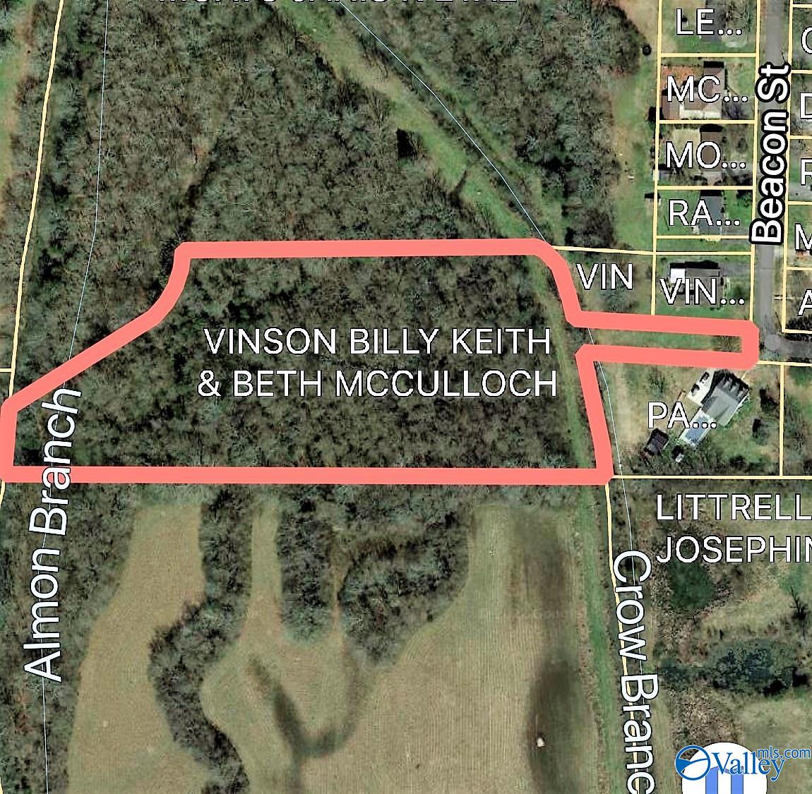 Property: 6.9 Acres McCulloch Street,Moulton, AL