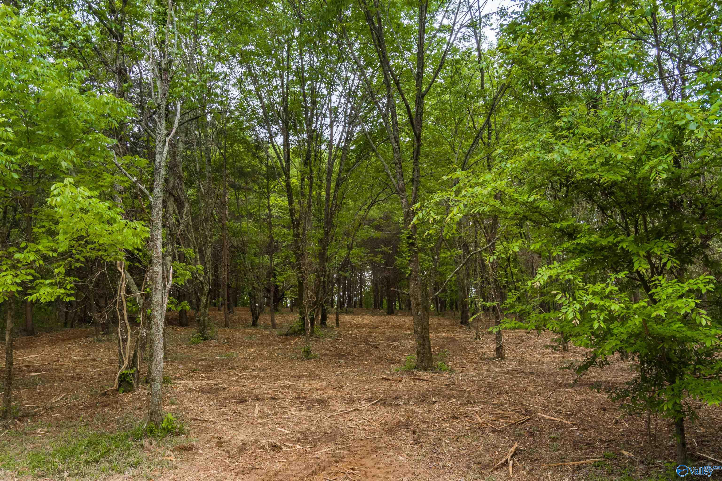 Property: 3.03 Acres County Road 107,Fort Payne, AL