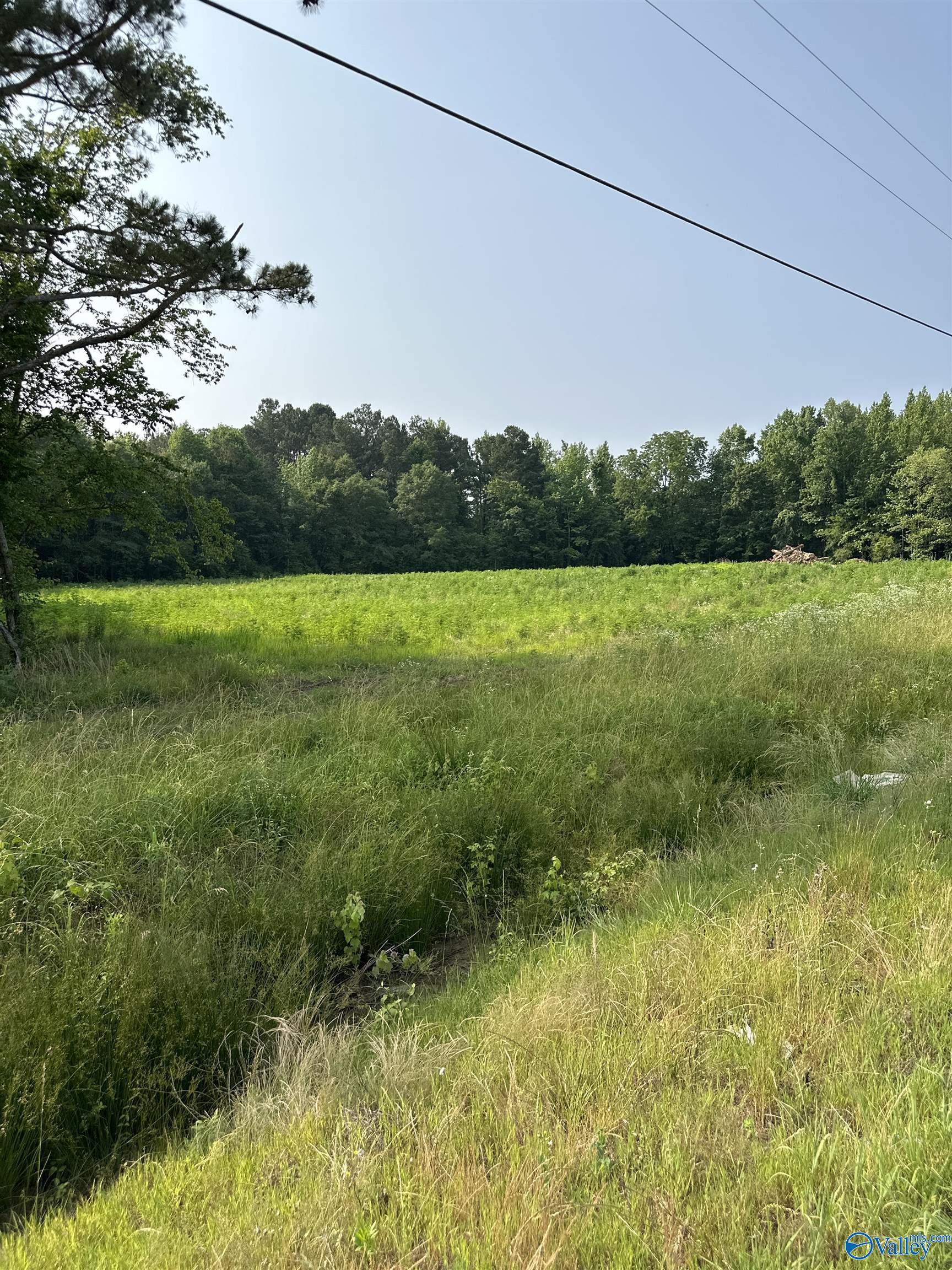 Property: Tract 27 Hays Mill Road,Elkmont, AL