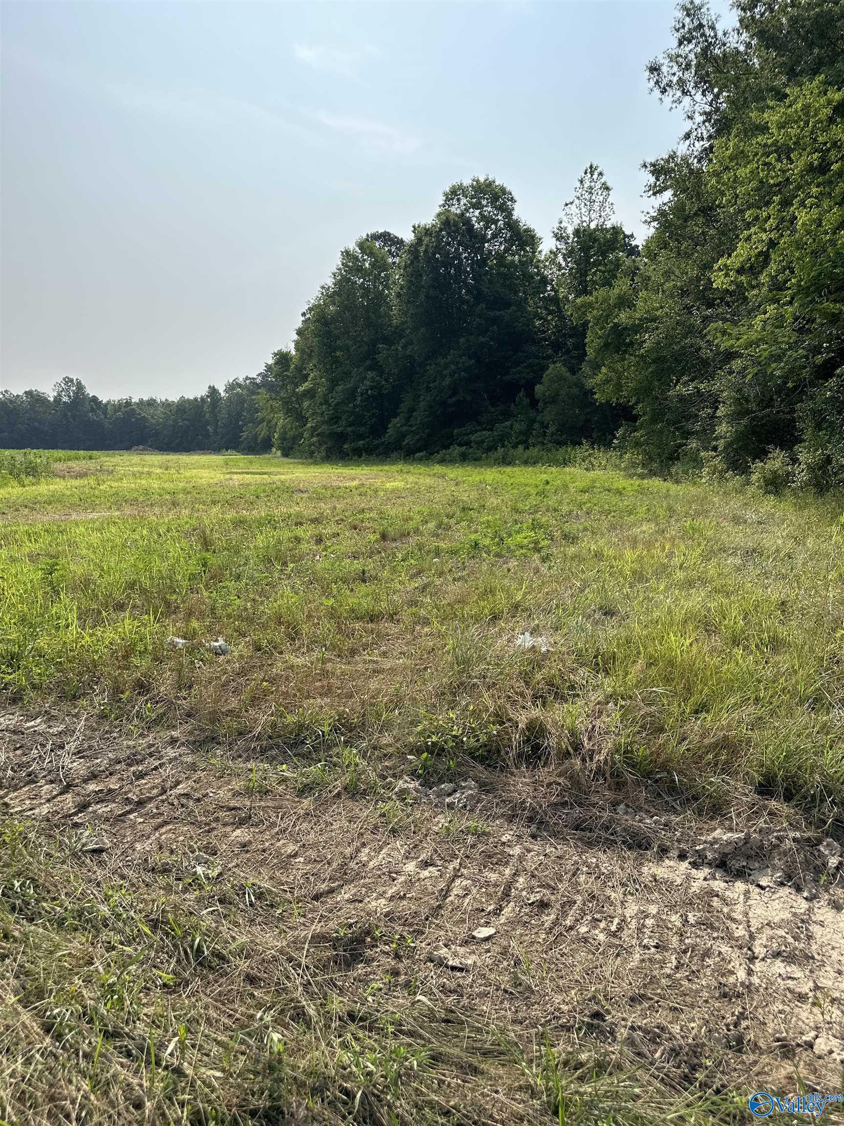 Property: Tract 28 Hays Mill Road,Elkmont, AL