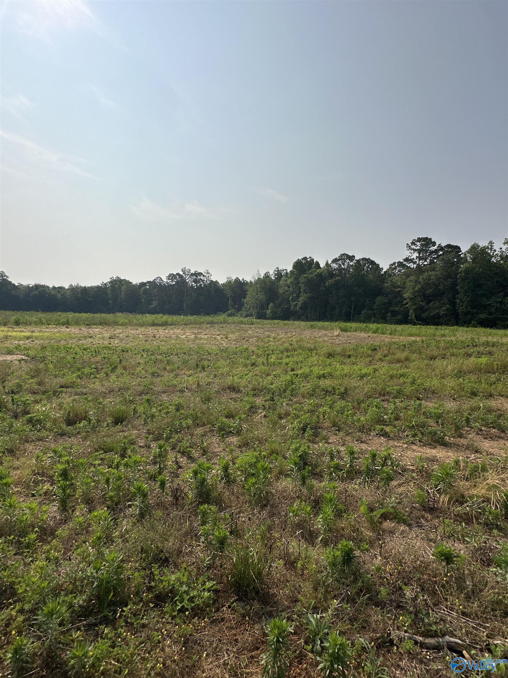 Property: Tract 29 Hays Mill Road,Elkmont, AL