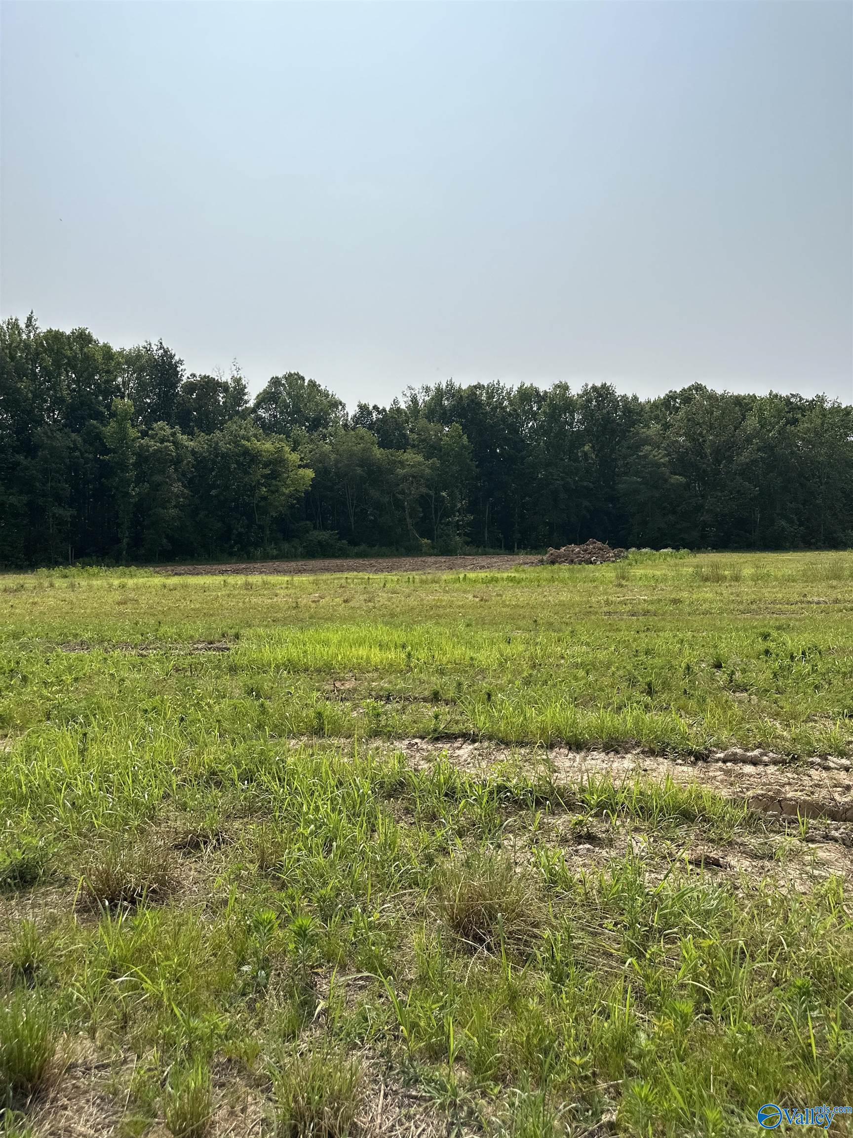 Property: Tract 43 Hays Mill Road,Elkmont, AL
