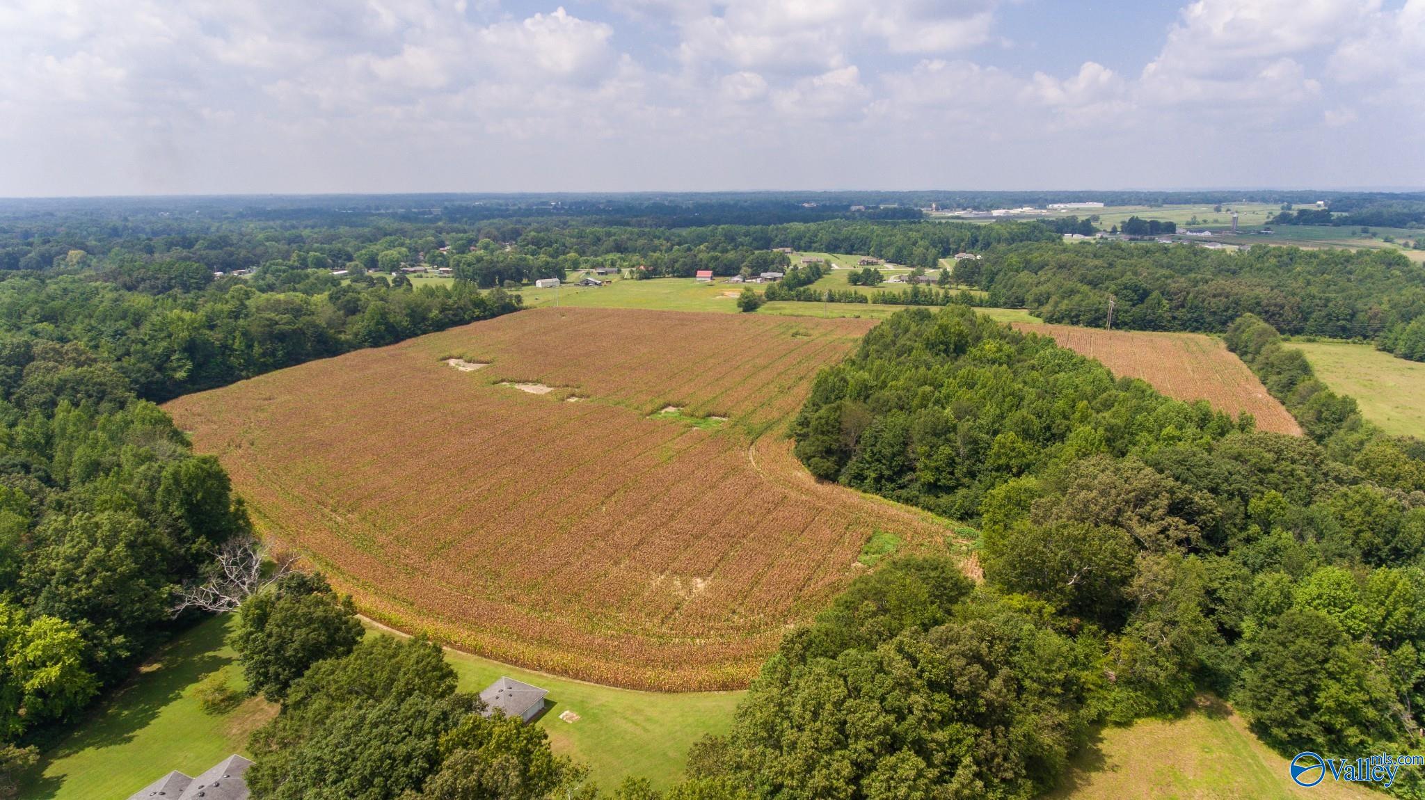 Property: Tract 5 Hilldale Church Road,Fayetteville, TN