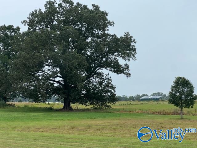Property: Lot 3 Tract A Summerford Orr Road,Falkville, AL