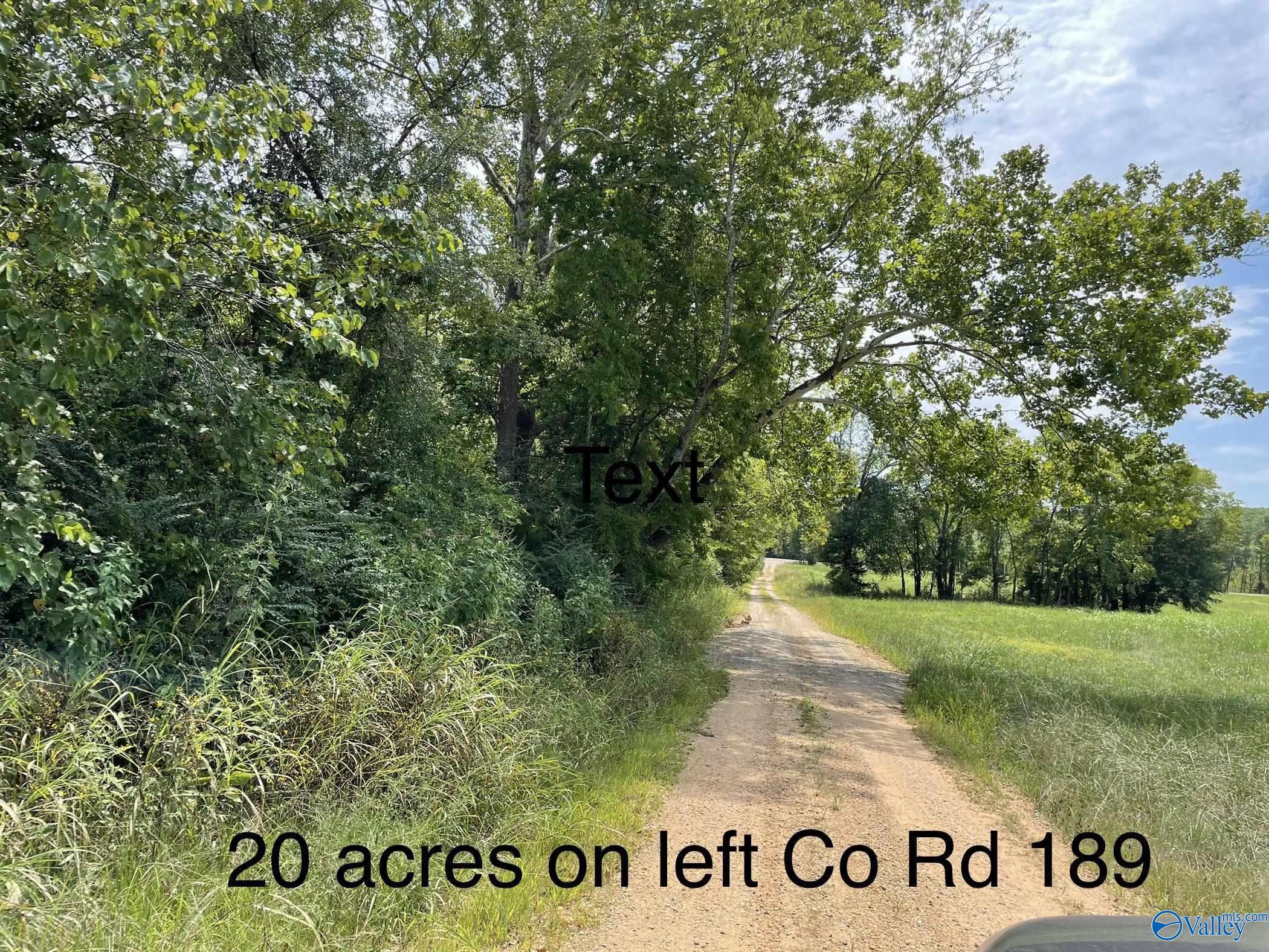 Property: 20 Acres County Road 189,Moulton, AL