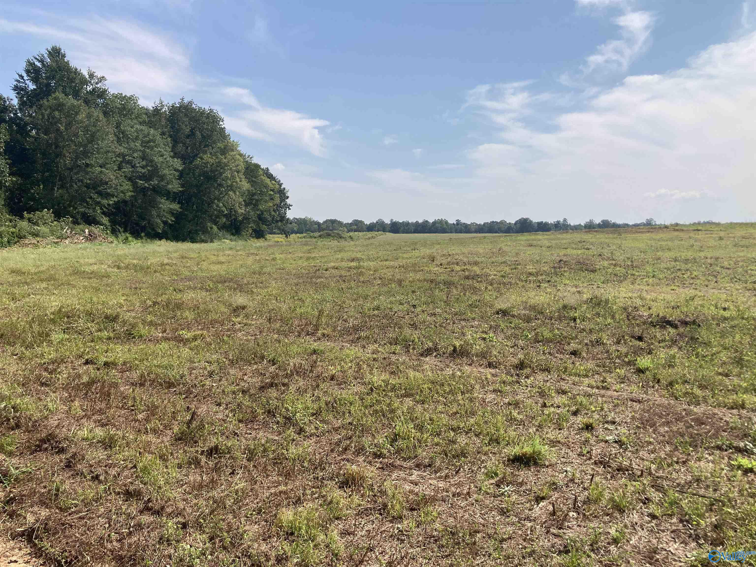 Property: Tract 16 Hays Mill Road,Elkmont, AL