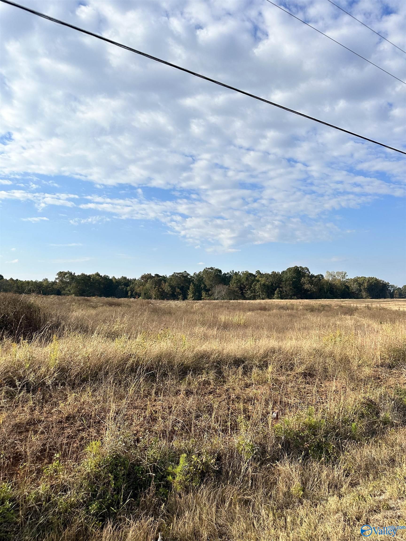 Property: Tract 5 Hays Mill Road,Elkmont, AL