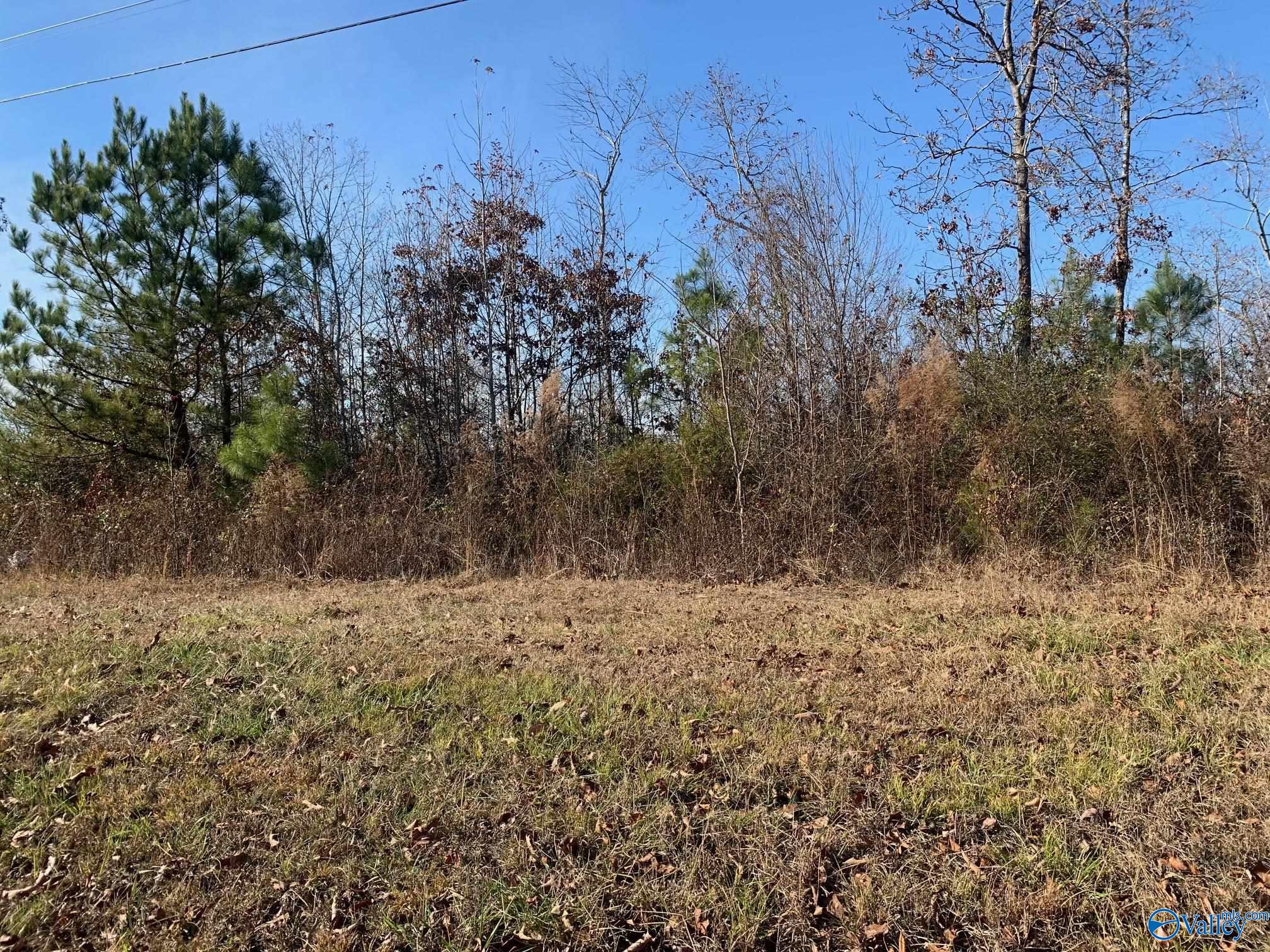 Property: 19.5 Acres McCrary Road,Hollywood, AL