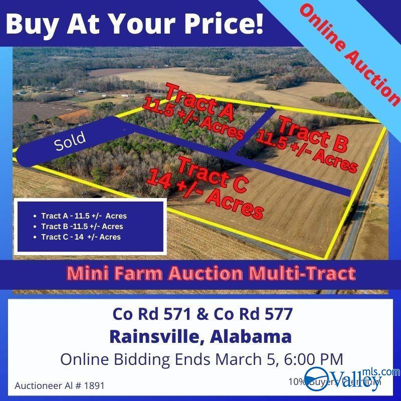 Property: Tract A County Road 571,Powell, AL