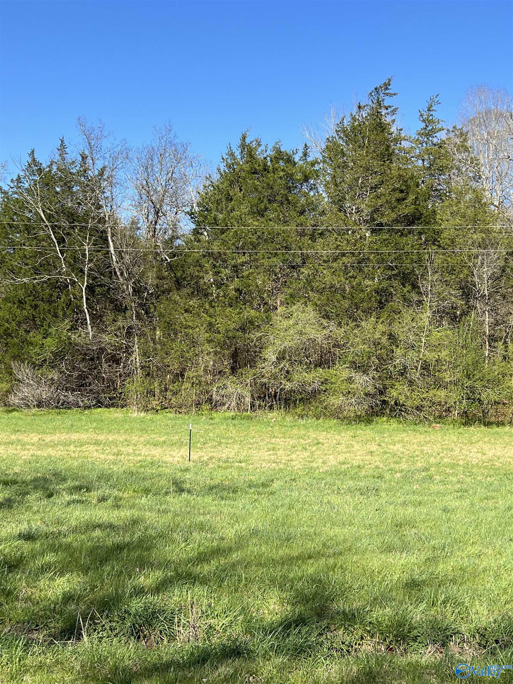 Property: Tract 2 Spring Valley Road,Taft, TN