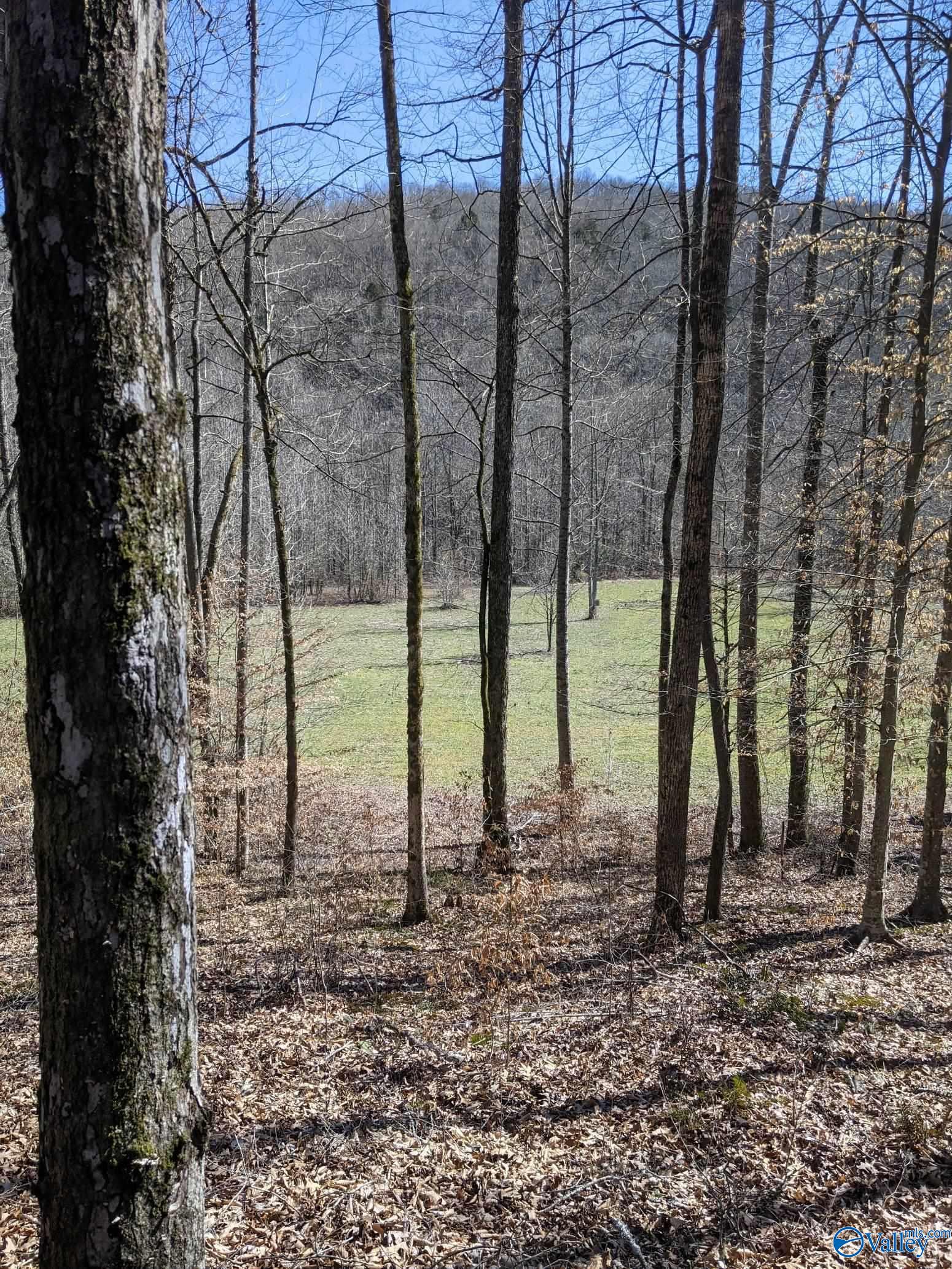 Property: 100 Acres Nw County Road 119 Nw,Limrock, AL