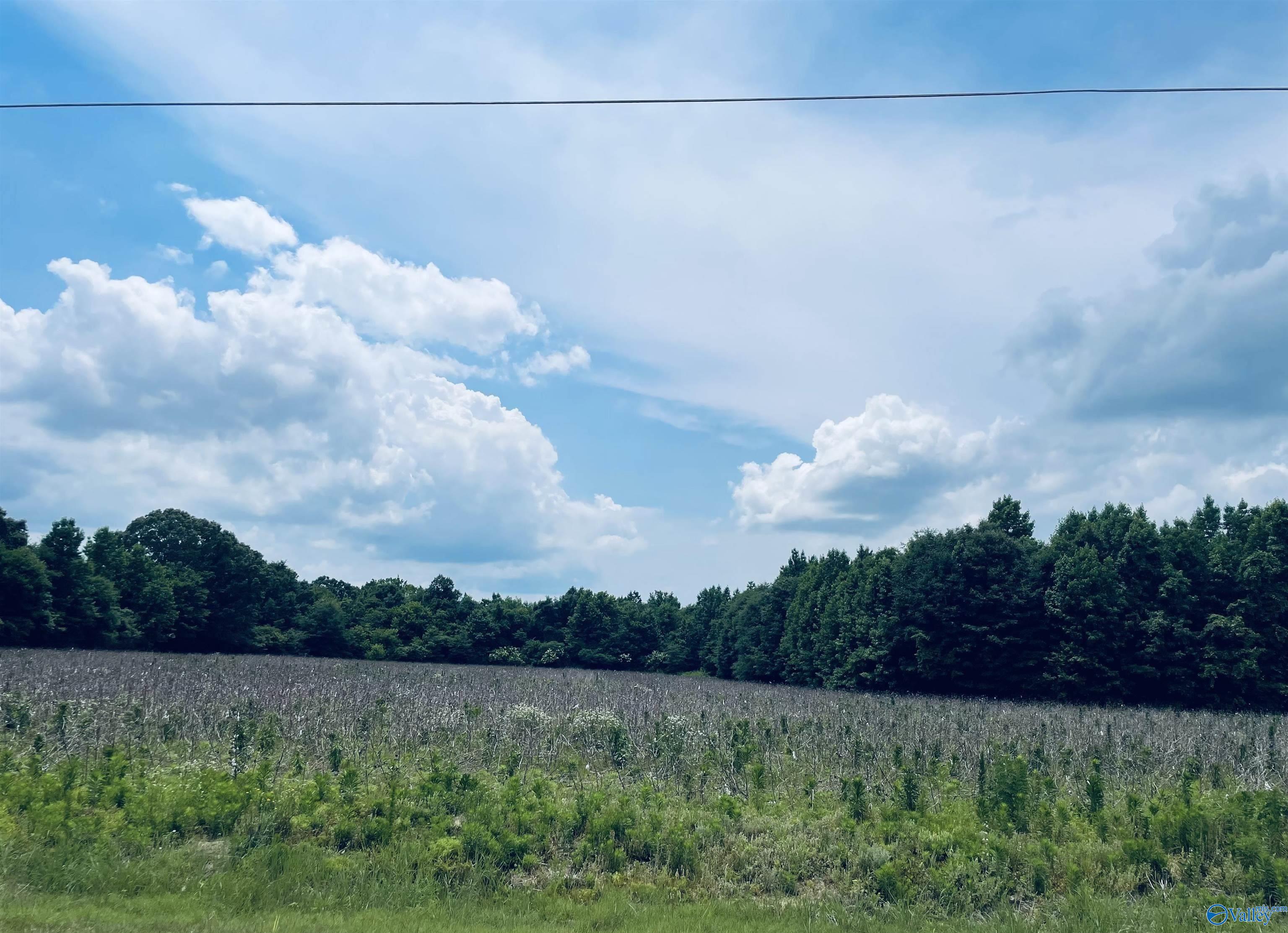 Property: Tract 3 Seven Mile Post Road,Athens, AL
