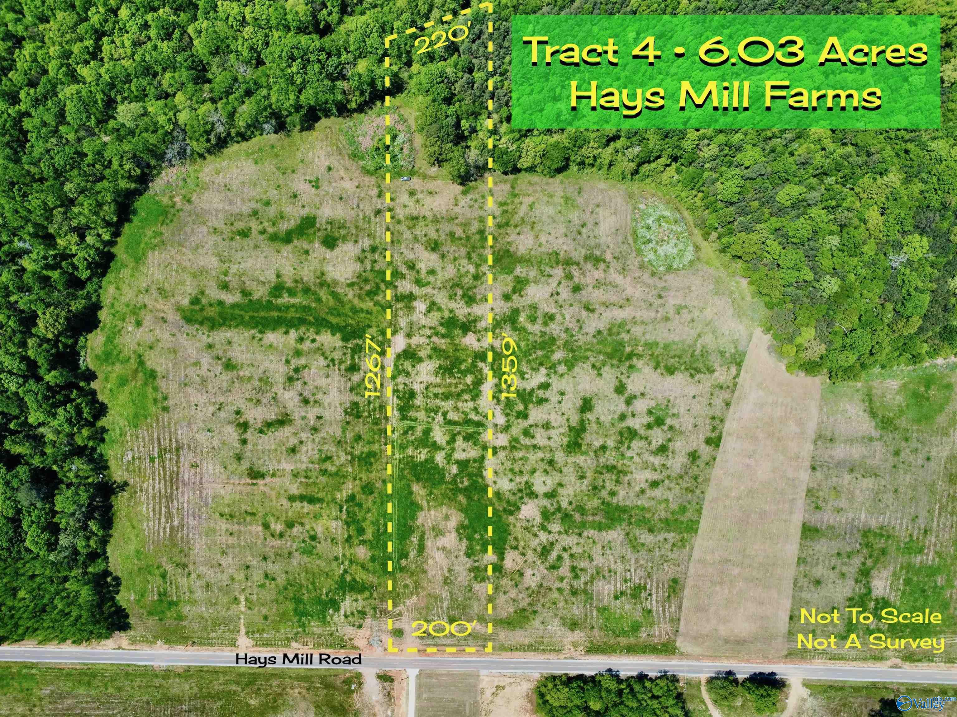 Property: Tract 4 Hays Mill Road,Elkmont, AL