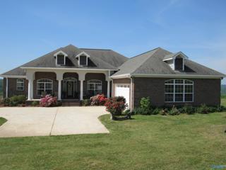 64 County Road 452, Section, AL 35771 - #: 21860867