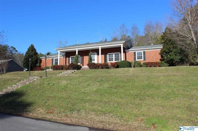 2404 Nw Forest Avenue, Fort Payne, AL 35967