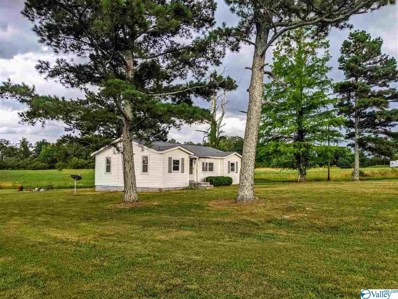 4312 County Road 43, Section, AL 35771