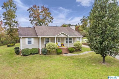 2550 Country Road, Southside, AL 35907