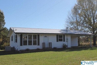 19177 Alabama Highway 75, Henagar, AL 35978