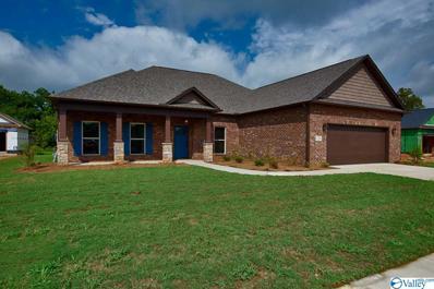 102 Timber Springs Court, Madison, AL 35756