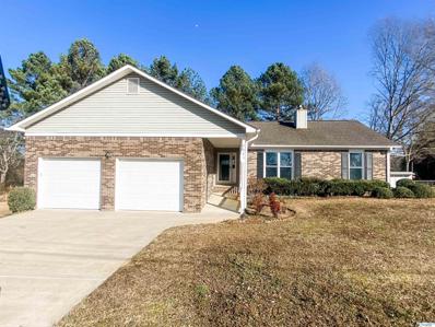 2685 Country Road, Southside, AL 35907