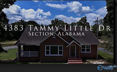 4383 Tammy Little Drive, Section, AL 35771