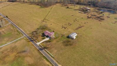 3818 County Road 120, Section, AL 35771