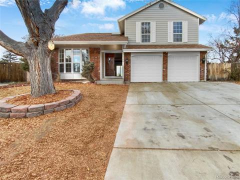 10388  King Court Westminster, CO 80031