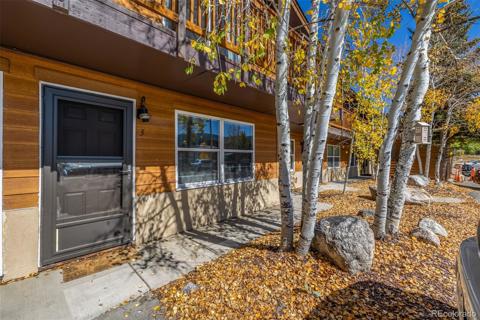 396  Cove Boulevard Dillon, CO 80435