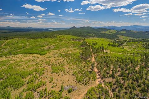   County Road 51 Florissant, CO 80816