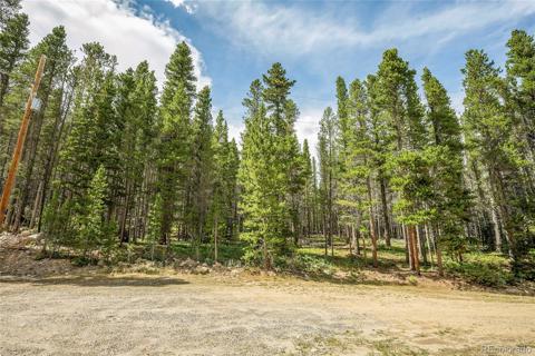 114  Elk Circle Idaho Springs, CO 80452