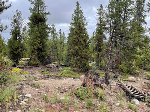 29  Spruce Drive Twin Lakes, CO 81251