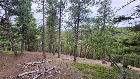 2255  Elk Park Road Larkspur, CO 80118