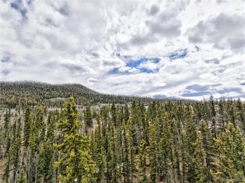 1630  Chief Trail Como, CO 80432