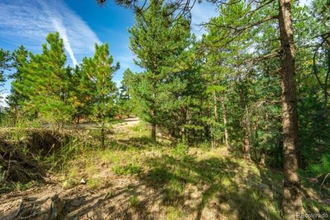 360  Hi Meadow Drive Bailey, CO 80421