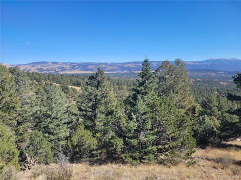 200  Brittany Road Westcliffe, CO 81252