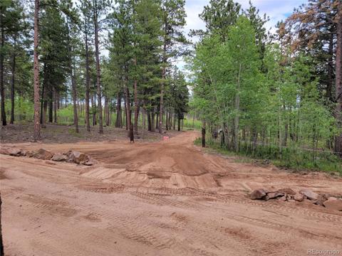   County Road 51 Florissant, CO 80816