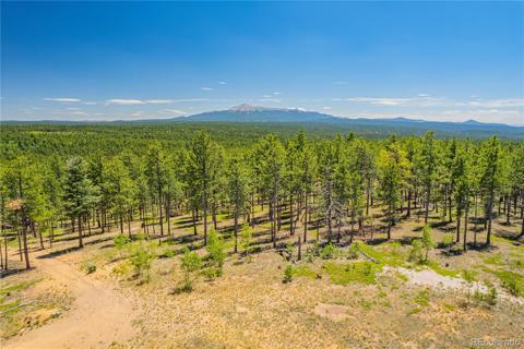   County Road 51 Florissant, CO 80816