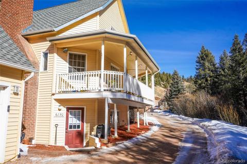 6250  County Road 61 Divide, CO 80814