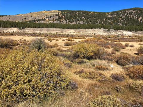   Leadville Land Leadville, CO 00000