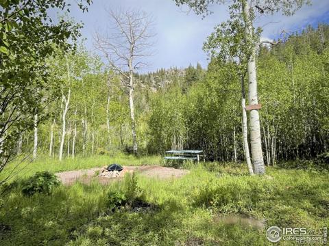 53  Ada Court Red Feather Lakes, CO 805