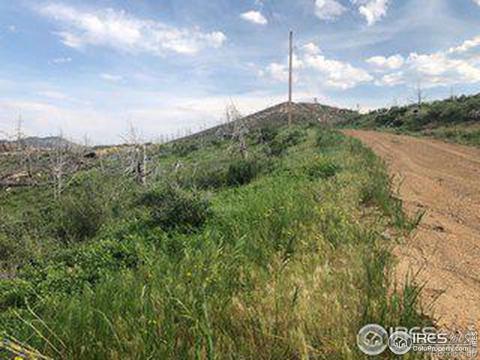   Meadow Mountain, (tbd)  Livermore, CO 80536