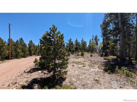37  Shasta Way Red Feather Lakes, CO 805