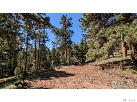 161  Miami Court Red Feather Lakes, CO 805