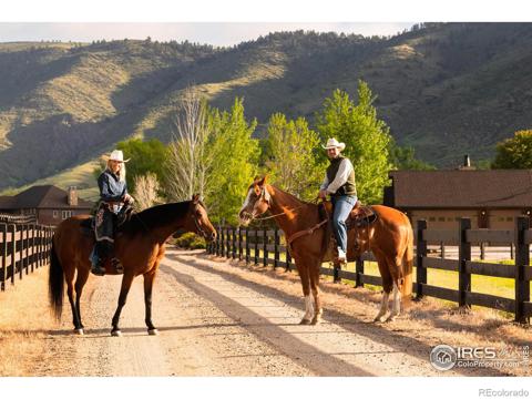 9840  Buckhorn Road Loveland, CO 80538