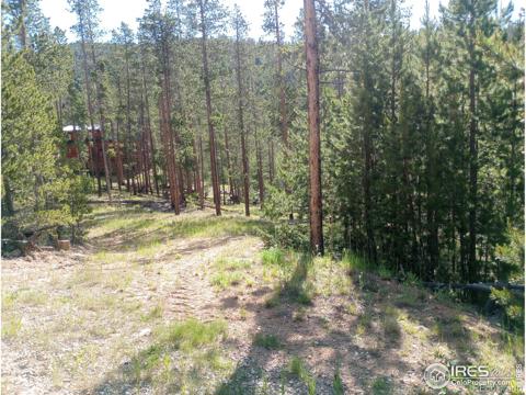 2997  Osage Trail Red Feather Lakes, CO 805