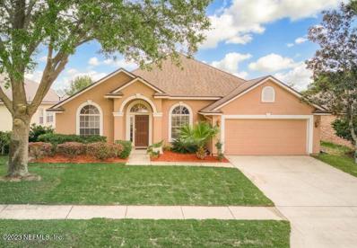 Orange Park, FL home for sale located at 347 Brier Rose Ln, Orange Park, FL 32065