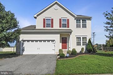 233 Climbing Vine Avenue, Smyrna, DE 19977 - MLS#: DEKT2030396