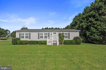 22470 Raven Circle, Lincoln, DE 19960 - #: DESU2069318