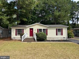 232 Long Neck Circle, Millsboro, DE 19966 - MLS#: DESU2070000